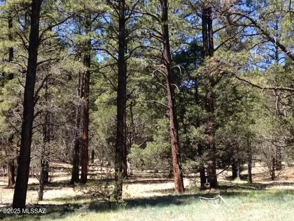 Nutrioso, AZ 85932,2 N 2331