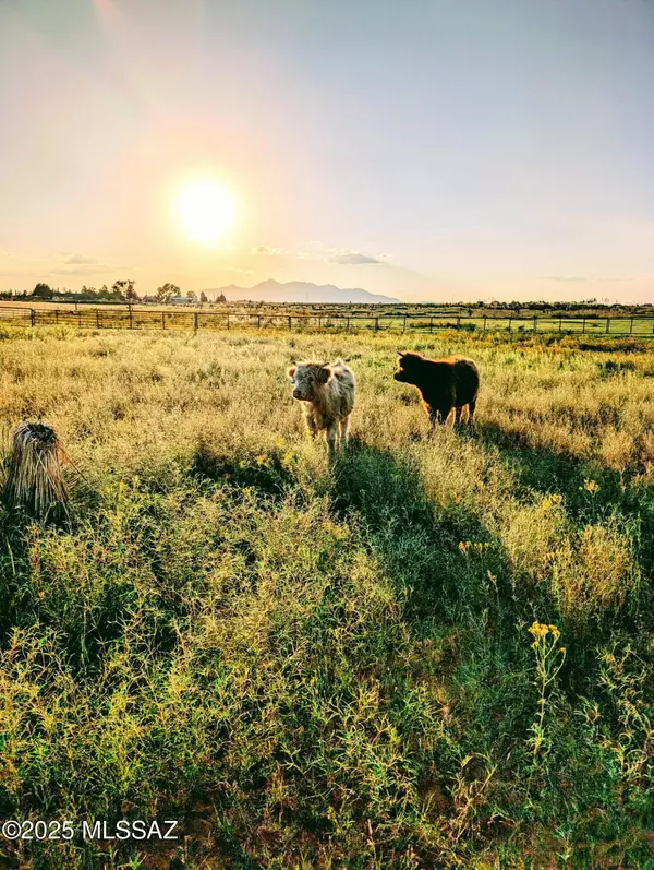 Elgin, AZ 85611,41 Martha's Lane