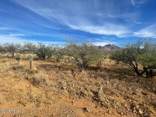 Rio Rico, AZ 85648,1815 Calle Rompeolas #50