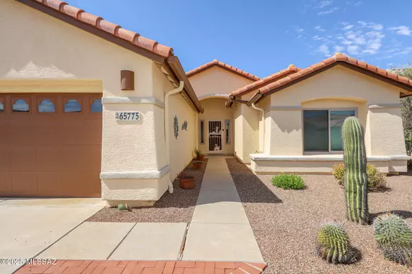 Tucson, AZ 85739,65775 E Desert Moon DR