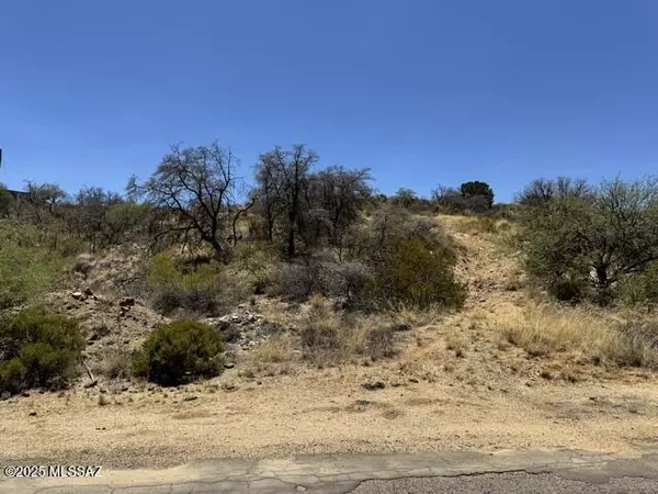 N Calle Futura (Parcel 1) #1, Oracle, AZ 85623