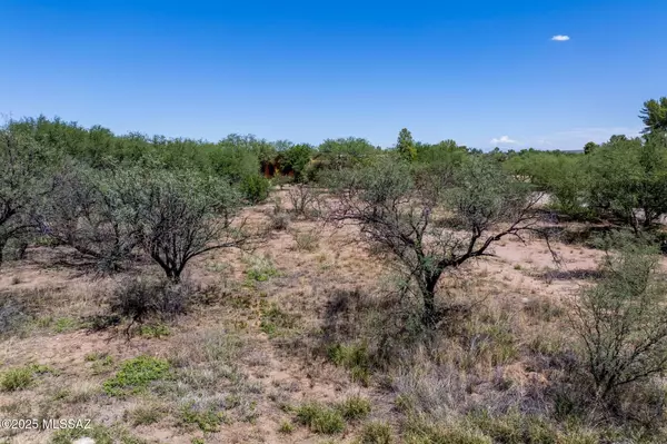 Tubac, AZ 85646,TBD Avenida de Otero #168