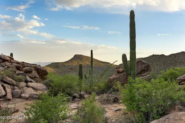 Marana, AZ 85658,14421 N Phinny Rock PL #48