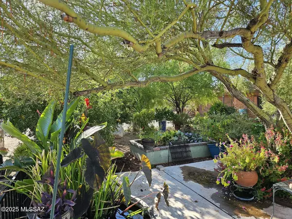 Tucson, AZ 85742,4170 W Cortaro Farms RD