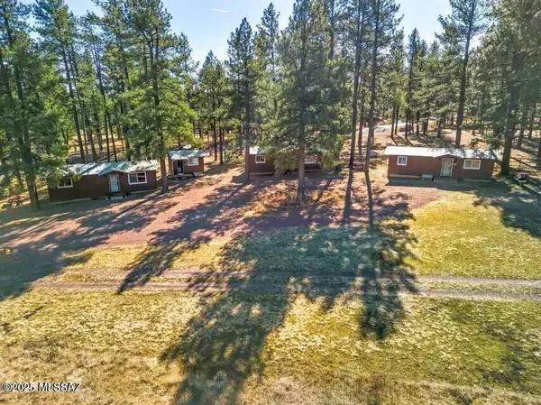 Alpine, AZ 85920,25327 Coronado TRL