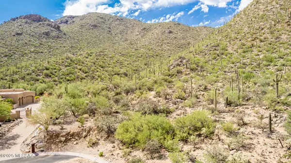 Marana, AZ 85658,15285 N Silent Vista CT #132