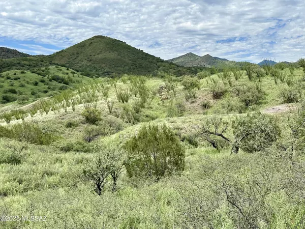 Patagonia, AZ 85624,00 Proctor LN #D-2