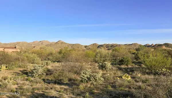 Oro Valley, AZ 85755,1235 W Weathered Stone PL #118