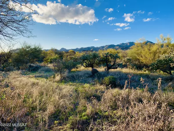 Oro Valley, AZ 85755,1235 W Weathered Stone PL #118