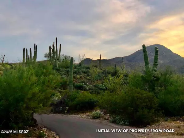 Tucson, AZ 85745,7237 W El Camino Del Cerro