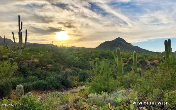 Tucson, AZ 85745,7237 W El Camino Del Cerro