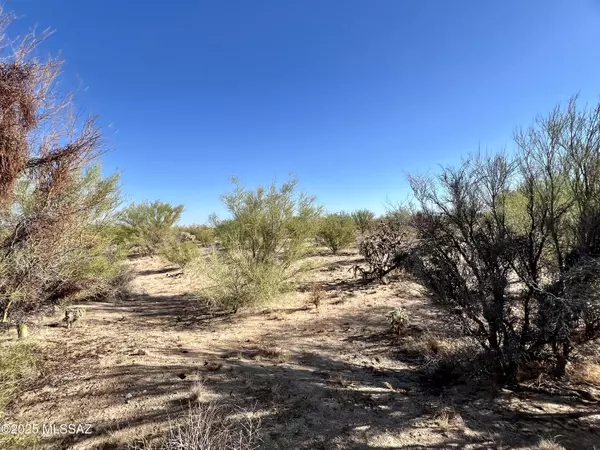 Tucson, AZ 85736,15938 W Diamond Bell Ranch RD #11