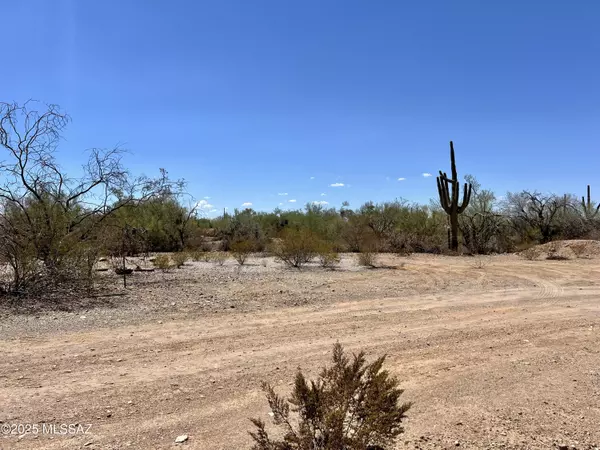Tucson, AZ 85743,10426 W Massingale RD #11