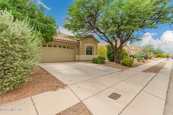 Tucson, AZ 85747,10562 E Bonpland Willow DR