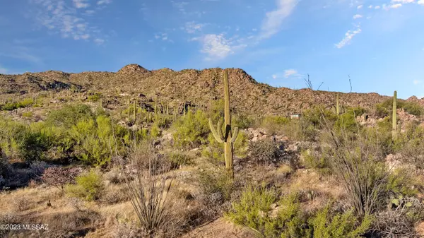 Oro Valley, AZ 85755,1906 W Mountain Mirage PL #161