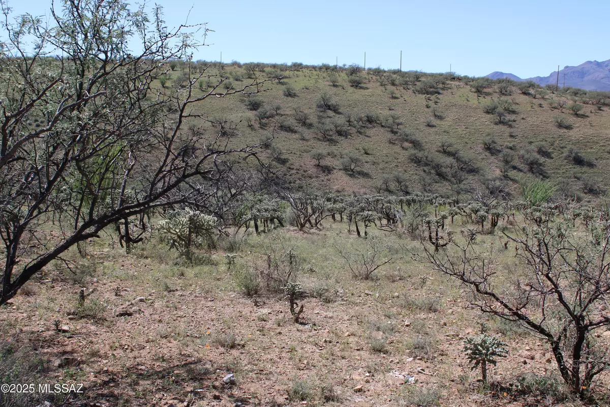 Rio Rico, AZ 85648,346 Anfibio CT #83