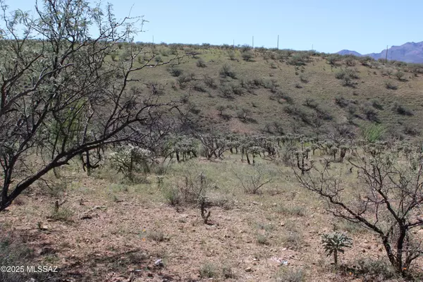 346 Anfibio CT #83,  Rio Rico,  AZ 85648