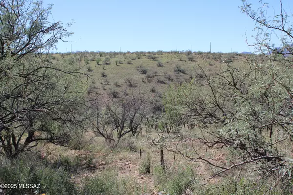 Rio Rico, AZ 85648,346 Anfibio CT #83