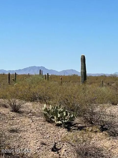 Sahuarita, AZ 85629,2046 E Old Stone House TRL #61