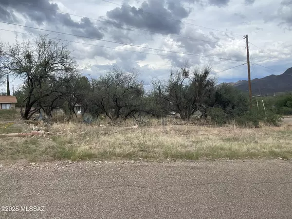 Rio Rico, AZ 85648,484 Avenida Papalote #34