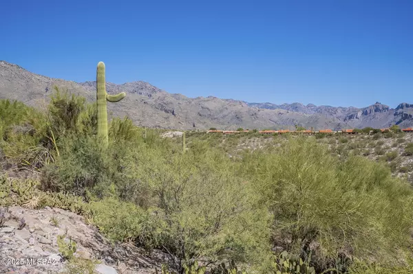 Tucson, AZ 85750,5370 N Grey Mountain TRL