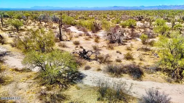 Florence, AZ 85132,0 E Florence-Kelvin Hwy #2 10 Acre