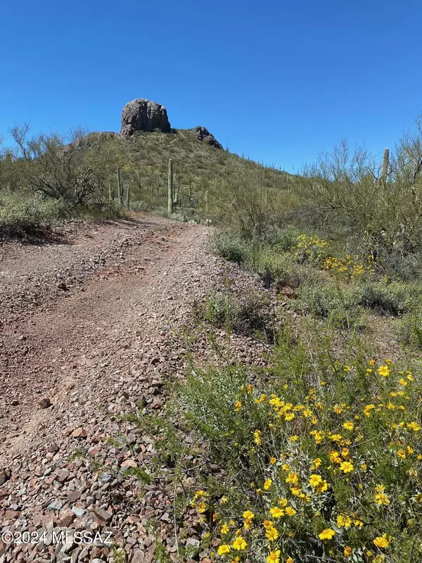 Marana, AZ 85658,TBD No Address