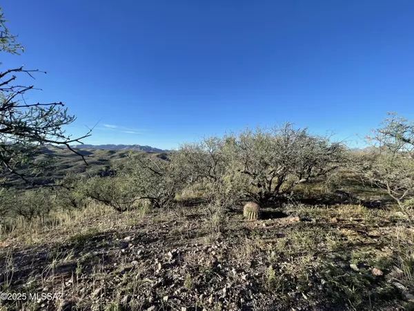 Rio Rico, AZ 85648,594 Camino Kansas #31