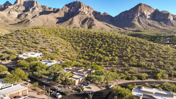 Oro Valley, AZ 85737,10576 N Buck Ridge DR #51