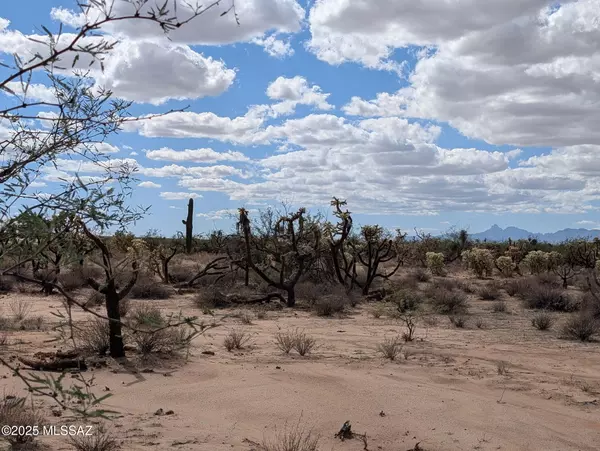 Tucson, AZ 85735,TBD S Antique WAY