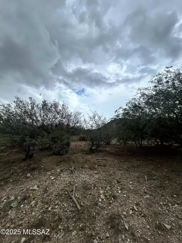 Rio Rico, AZ 85648,1817 Calle Playa