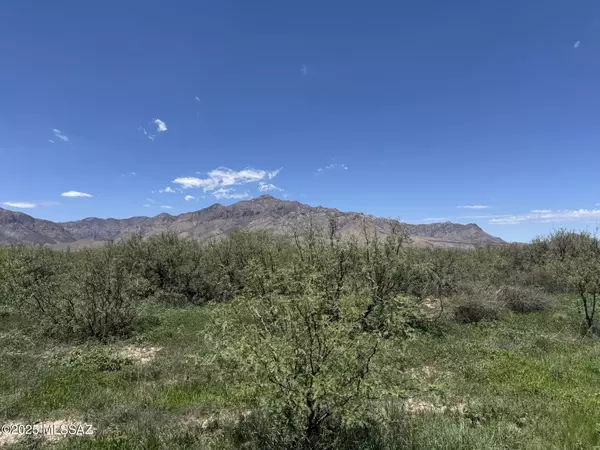 39.6 Acres W Paulo Rose DR #2, Portal, AZ 85632