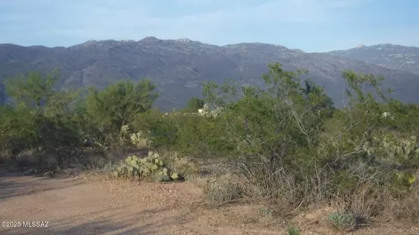 Tucson, AZ 85747,12586 E Camino Dorotea