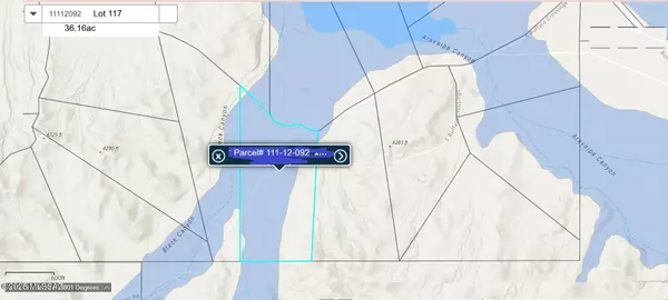 Willcox, AZ 85643,36.16ac W Grey Bear DR #117