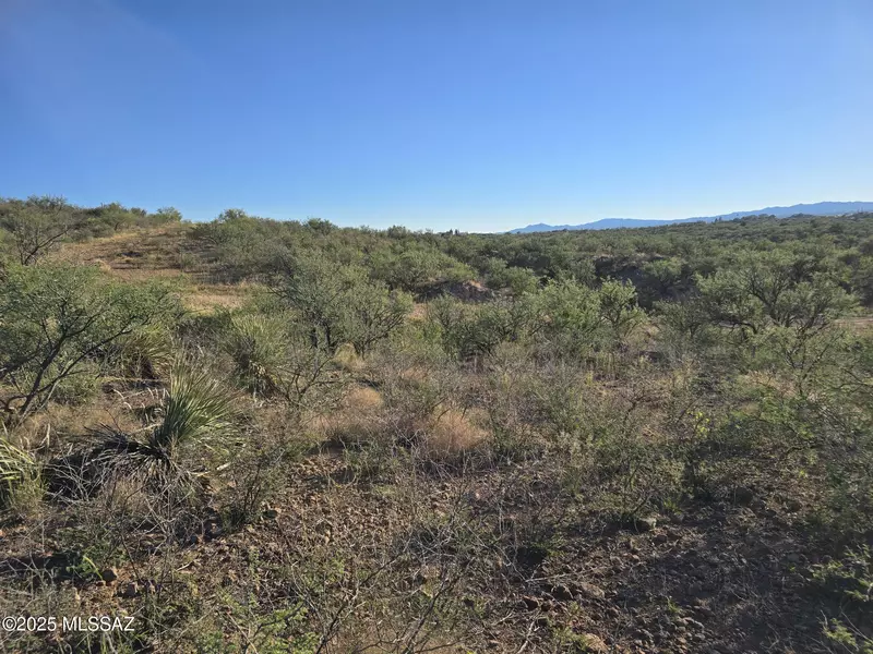 1222 Calle Remedios #33, Rio Rico, AZ 85648