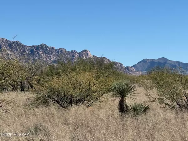 St. David, AZ 85630,45 ac S De Niza RD #48