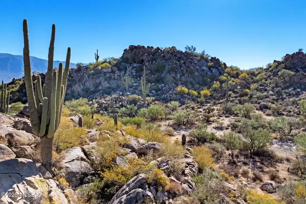 Oro Valley, AZ 85755,867 W Granite Gorge DR #327