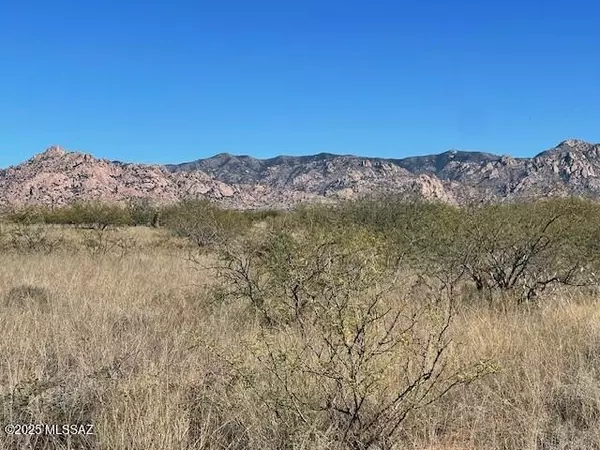 St. David, AZ 85630,Lot 67 E Horse Ranch Unit 1 RD #67