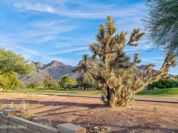 Oro Valley, AZ 85737,565 W Golf View DR