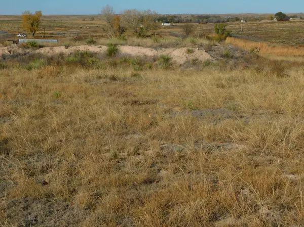 Guymon, OK 73942,Tract 2,3,4,5 Riverview