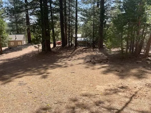 Portola, CA 96105,8540 Primrose Lane