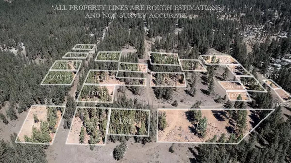 Portola, CA 96122,225 Bear Way