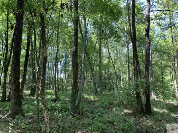 Atlanta, TX 75551,953 CR 3544