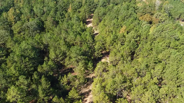 Texarkana, AR 71854,TBD N/A