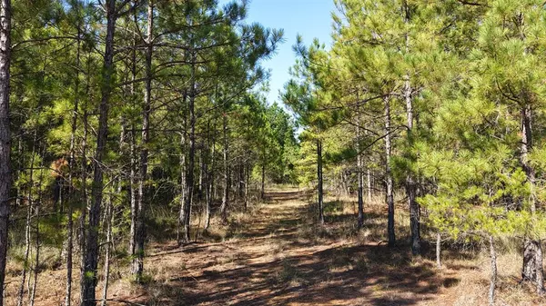 Texarkana, AR 71854,TBD N/A