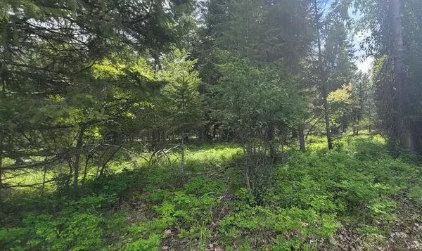 Libby, MT 59923,Tbd, Lot 4 Parmenter RD