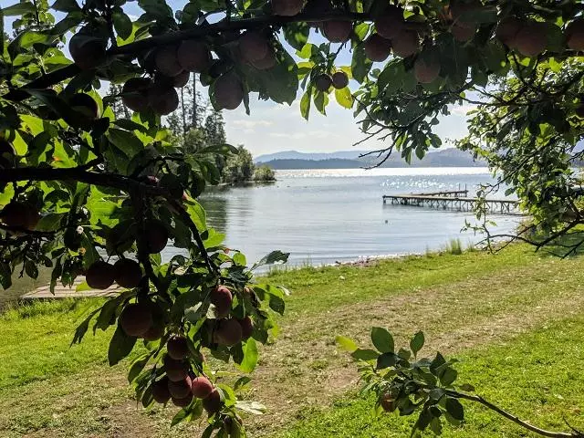 Dayton, MT 59914,41322 Mello Cove LN