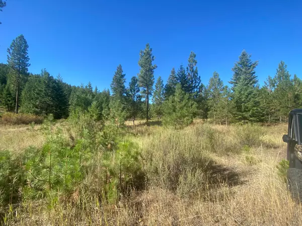 Plains, MT 59859,Lot 30 Bighorn