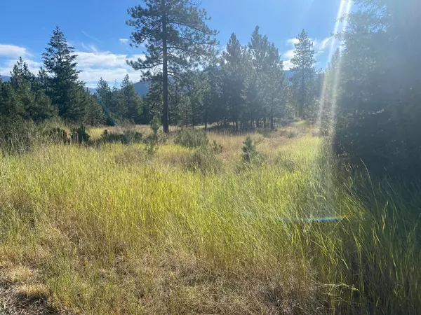 Plains, MT 59859,Lot 30 Bighorn