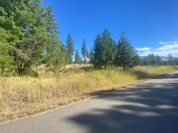Plains, MT 59859,Lot 40 Bighorn Bluff LOOP